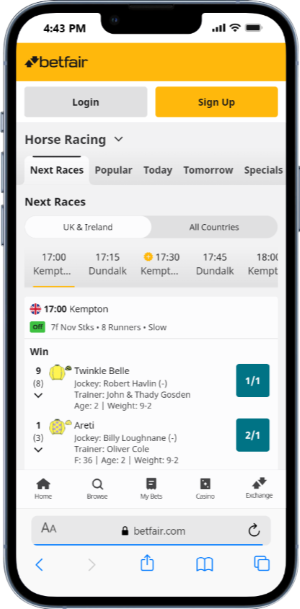 Horse Racing betting with Betfair