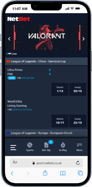 E-sport Options with NetBet