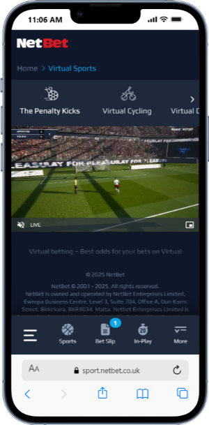 Virtual Sports with NetBet