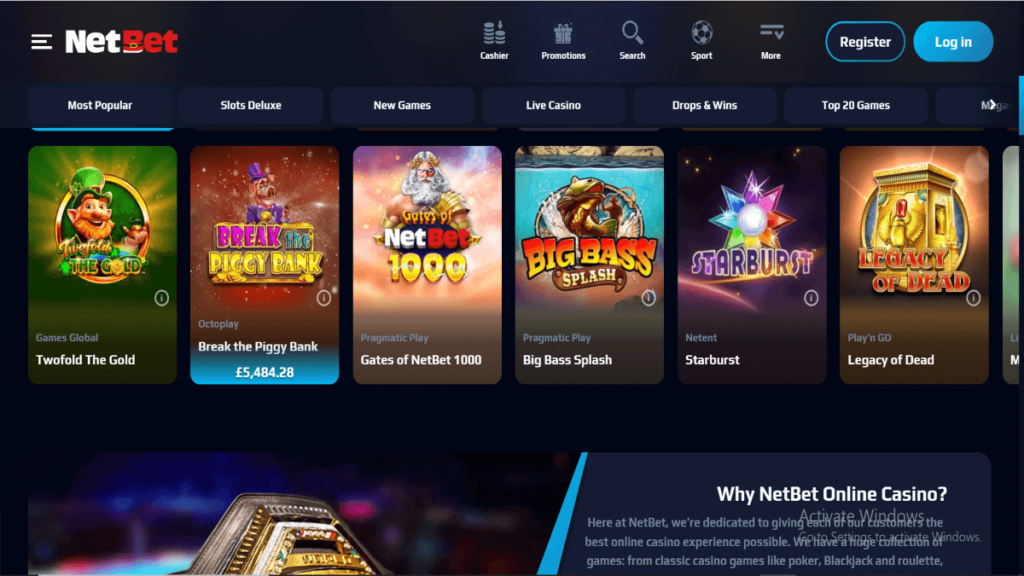 NetBet Casino Section Overview