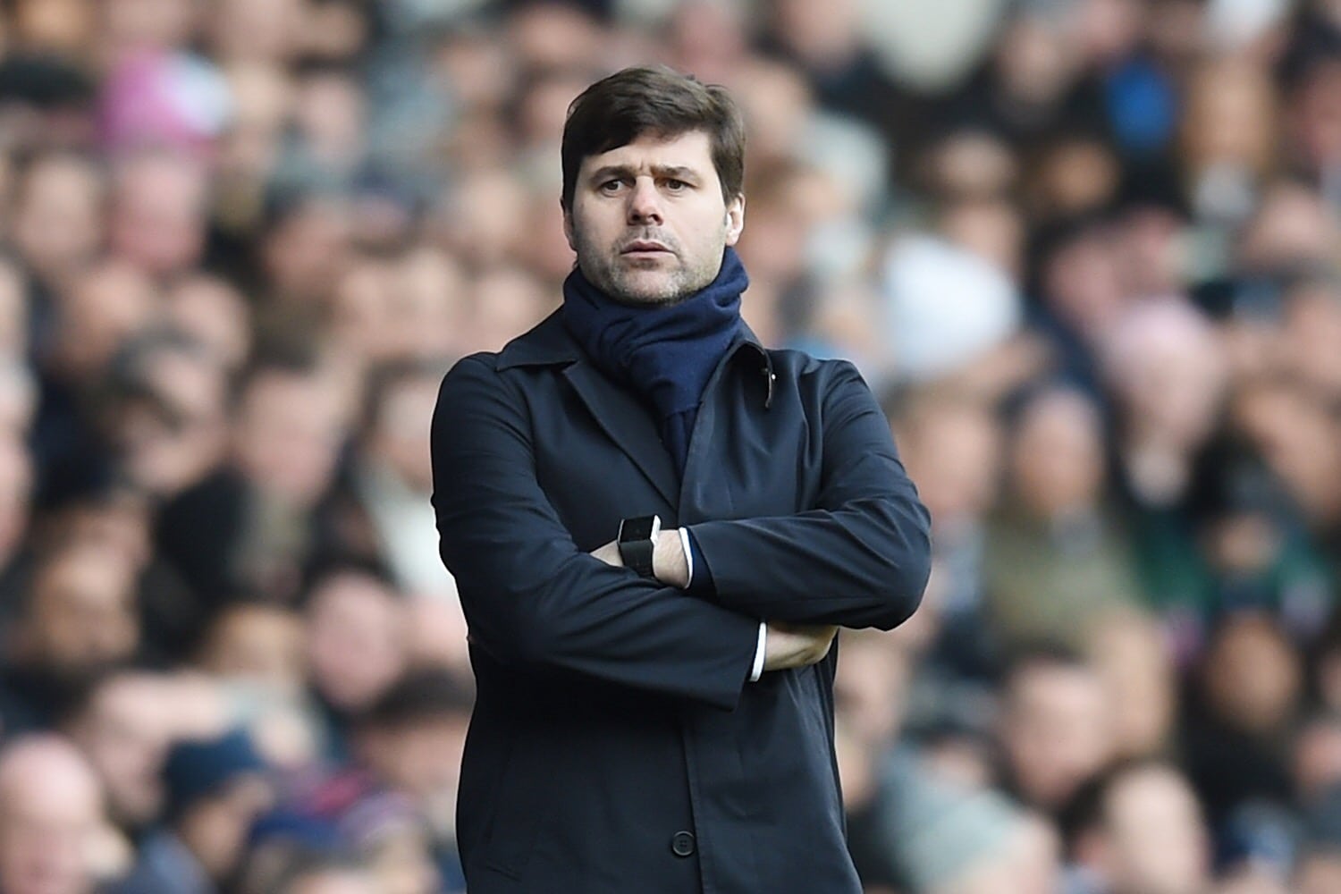 Mauricio Pochettino of Tottenham Hotspur