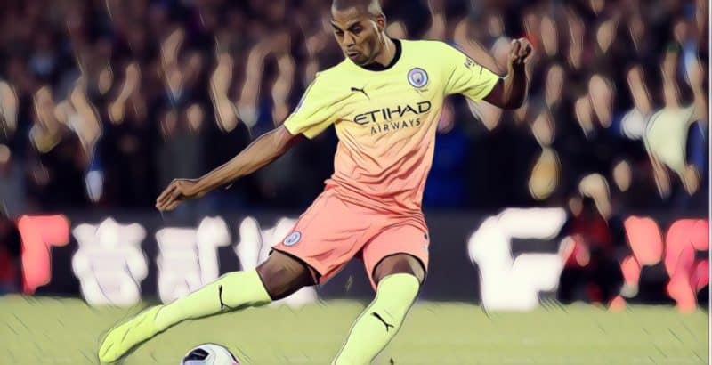 fernandinho manchester city