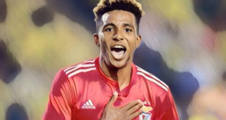 gedson fernandes
