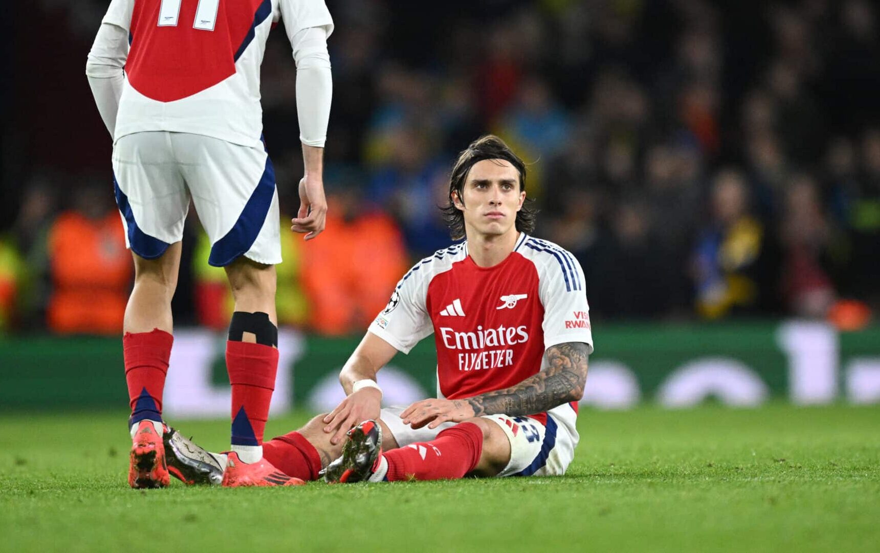 Riccardo Calafiori of Arsenal goes down with a injury as Gabriel Martinelli of Arsenal checks on him during the UEFA Champions League 2024/25 League Phase MD3 match between Arsenal FC and FC Shakhtar Donetsk at Emirates Stadium on October 22, 2024 in London, England.