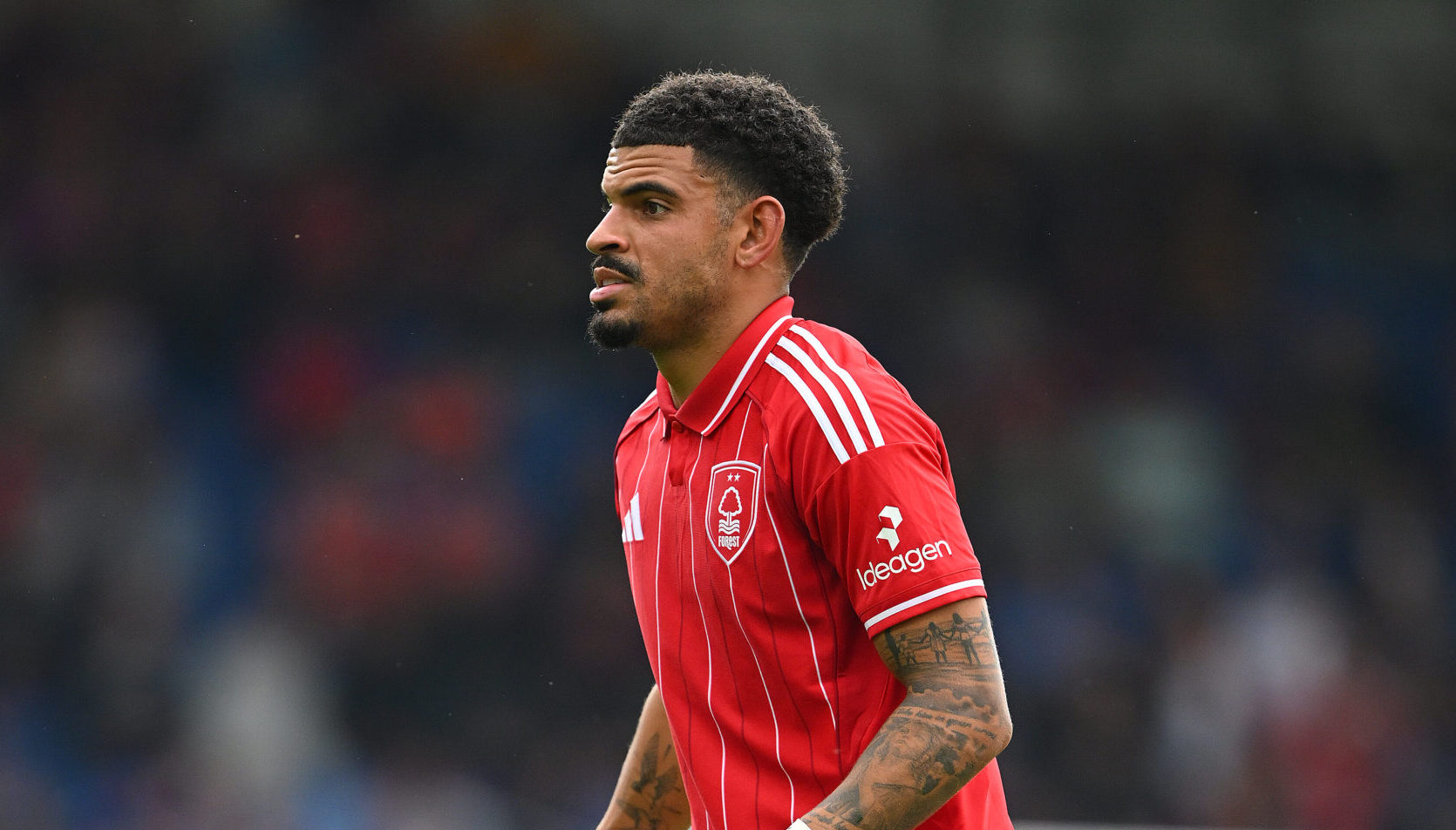 Morgan Gibbs-White Đứa Con Của Lò Wolves – Hành Trình Rời Nottingham Forest