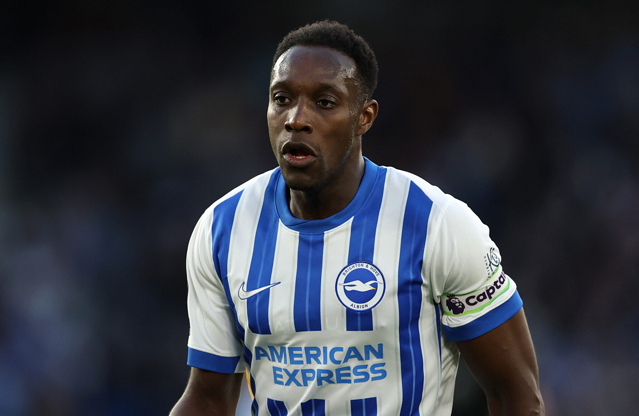 Brighton vs Newcastle United – Predicted lineup and team news