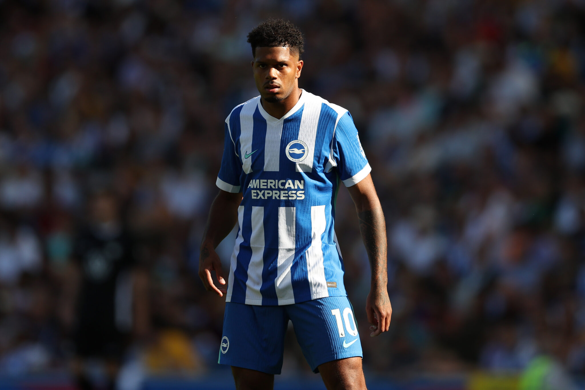 Premier League Preview: The fans’ view – Brighton