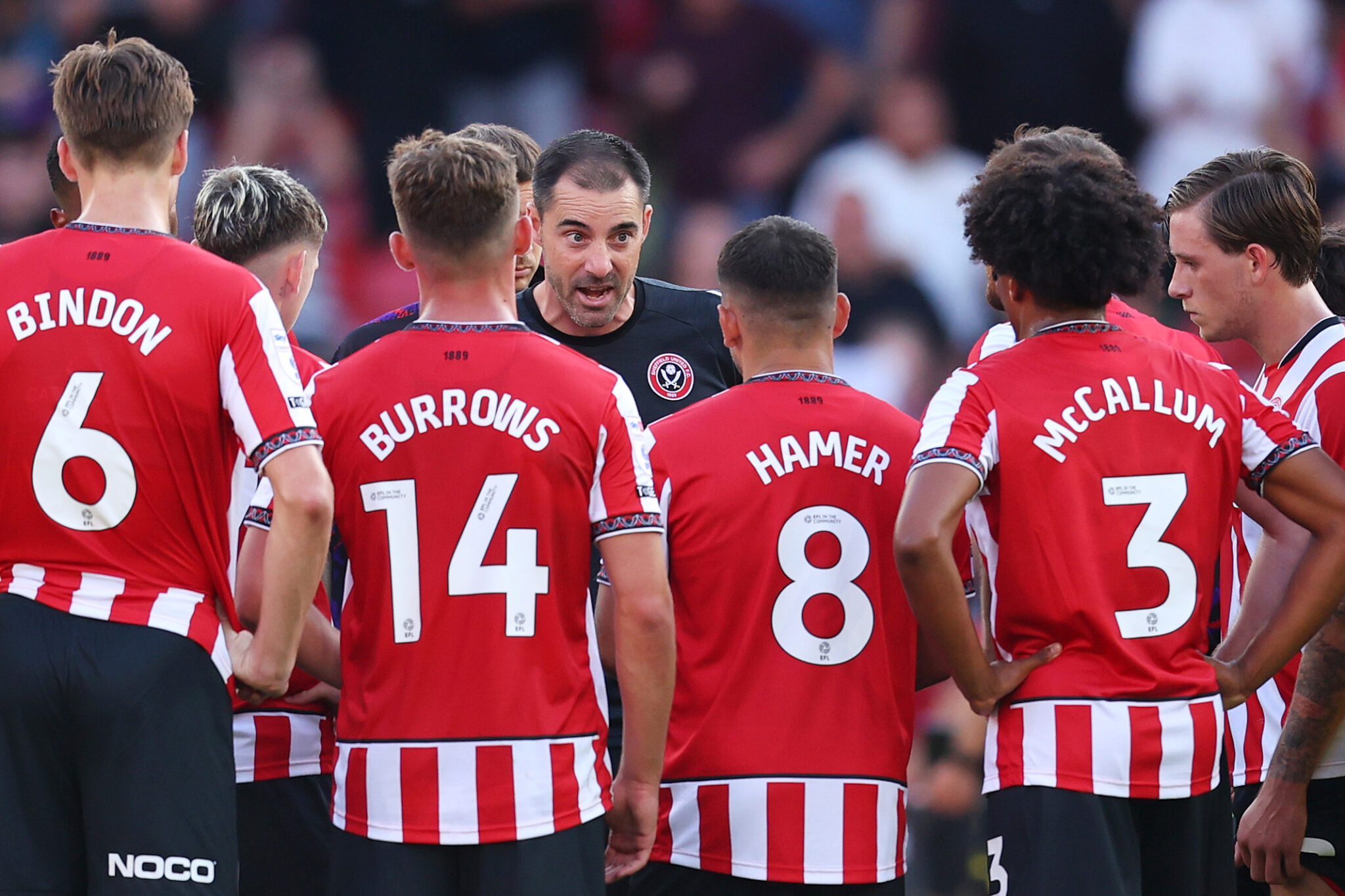 Sheffield United XI vs Swansea - Predicted Lineup and Team News