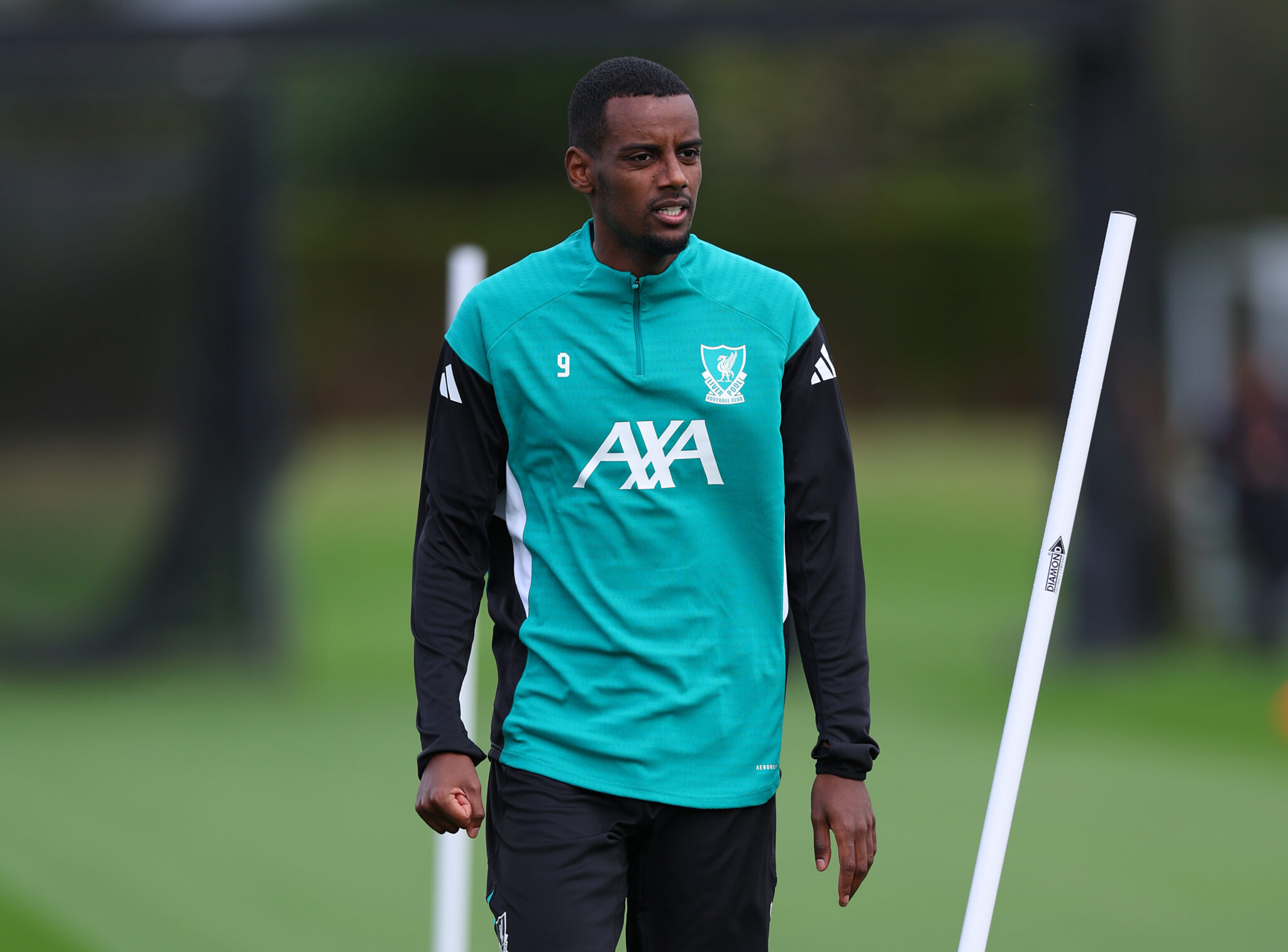 Virgil van Dijk has called Liverpool teammate Alexander Isak the 'complete strike