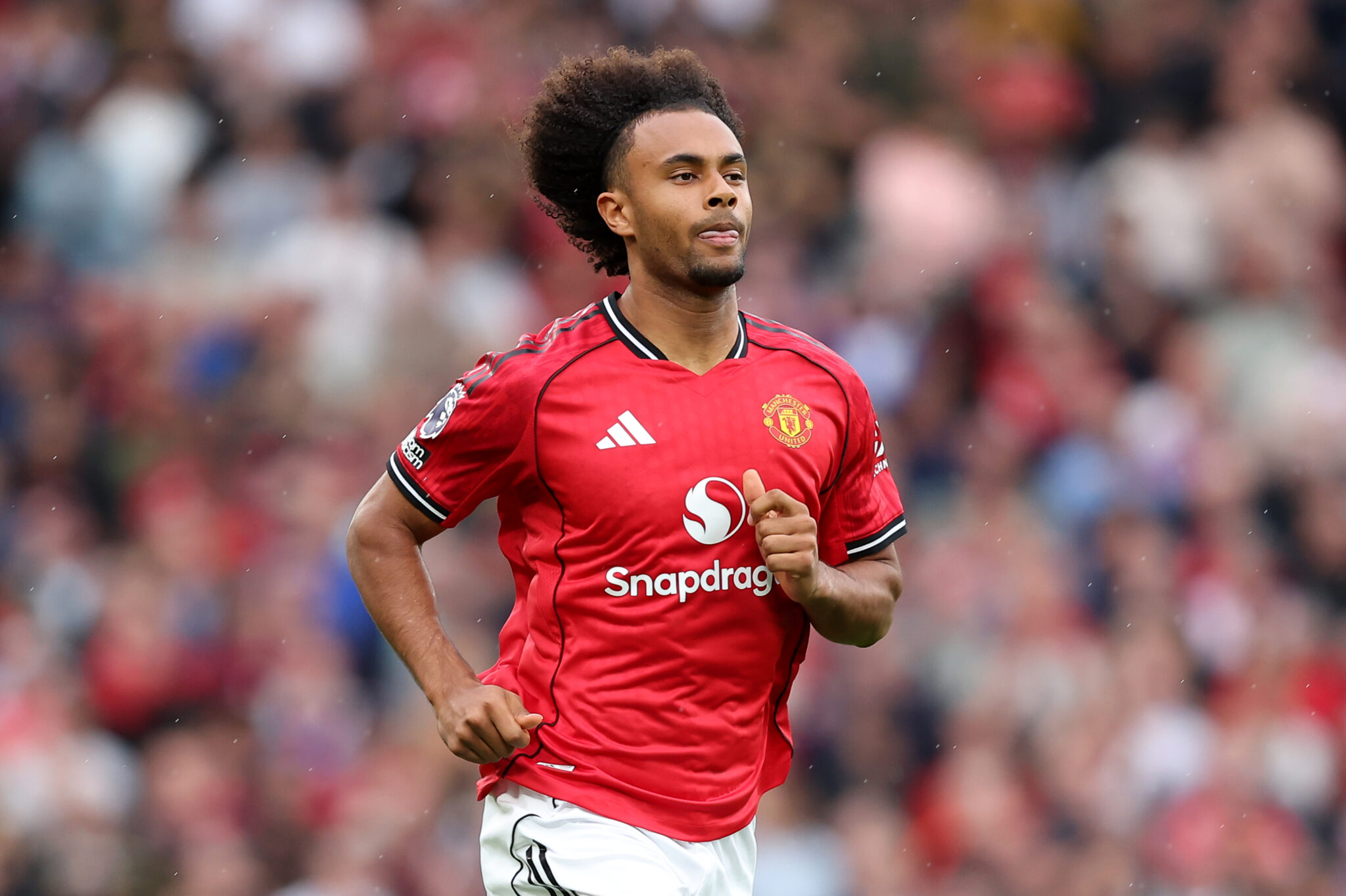 Manchester United - Joshua Zirkzee could return to Serie A in the January transfer window
