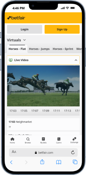 Virtual Sports with Betfair
