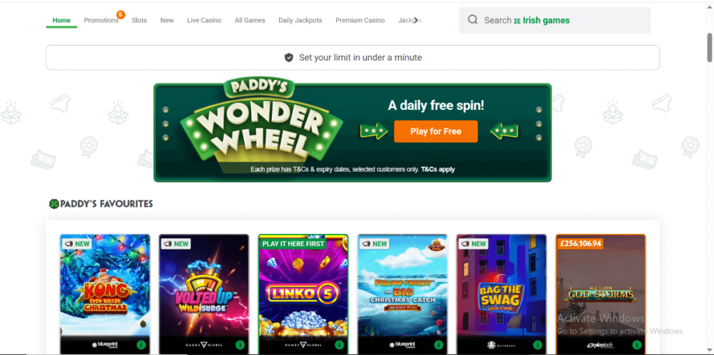 Paddy Power Casino Section Overview