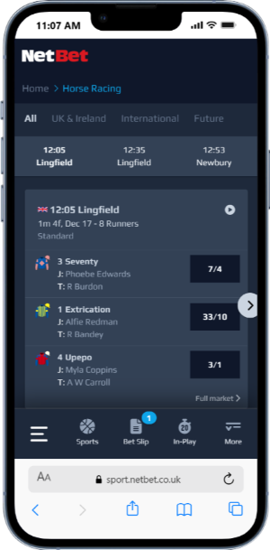 Horse Racing betting with NetBet