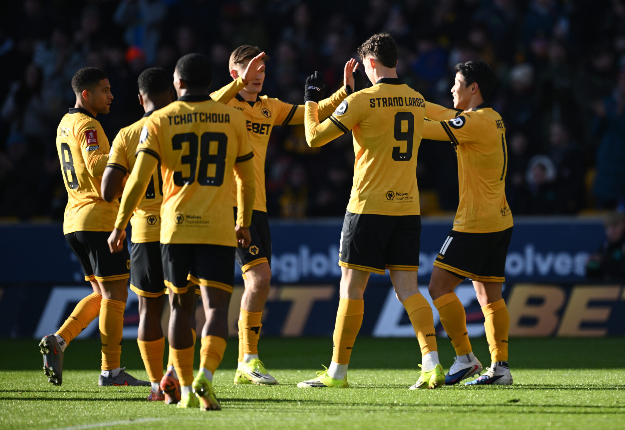 Wolves vs Newcastle United – Match Preview and Team News