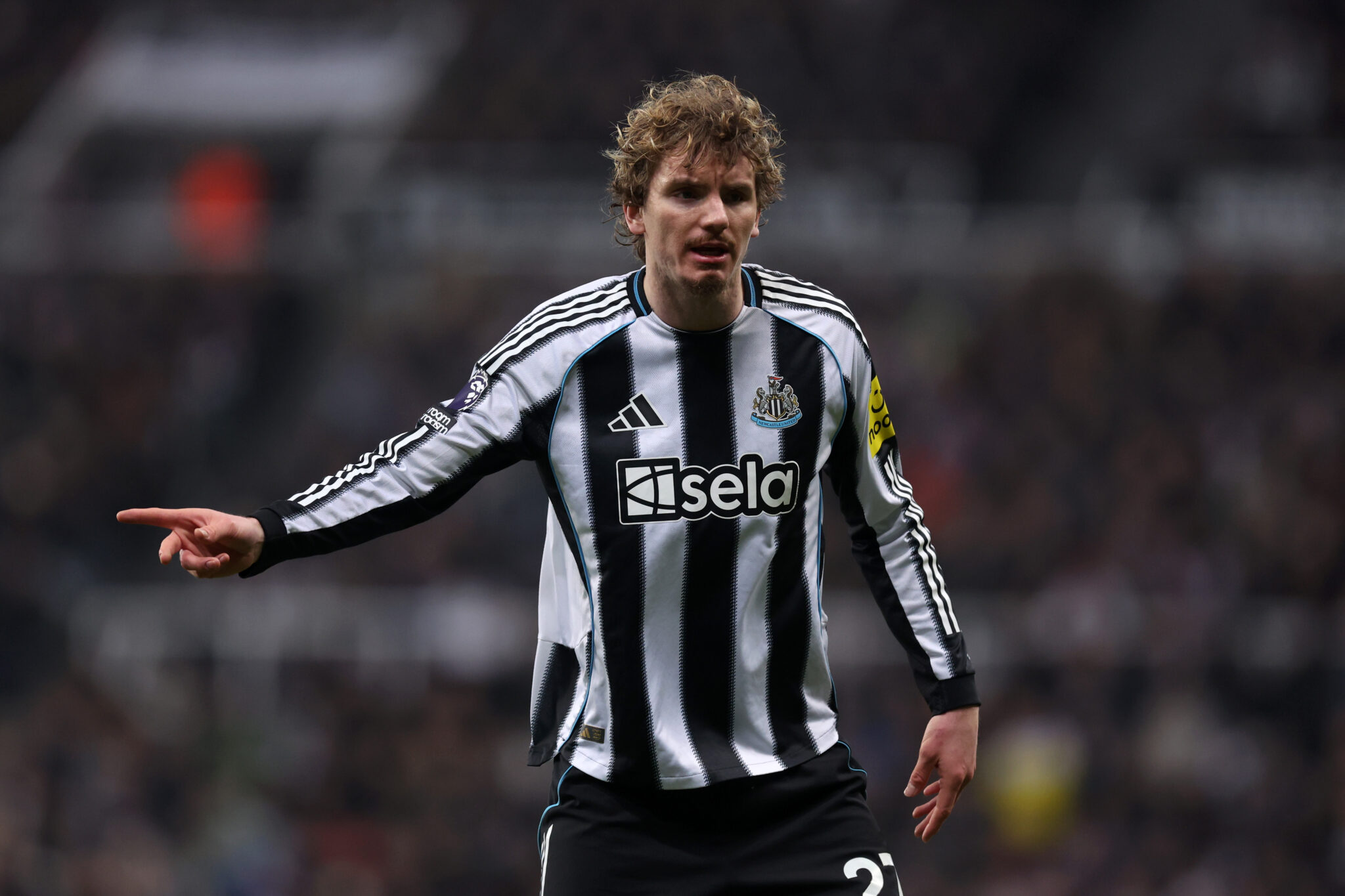 Newcastle XI vs Tottenham – Predicted lineup and team news