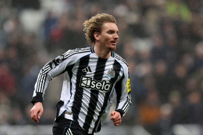 Scout says Woltemade 'isn't the DNA of a Newcastle number nine'