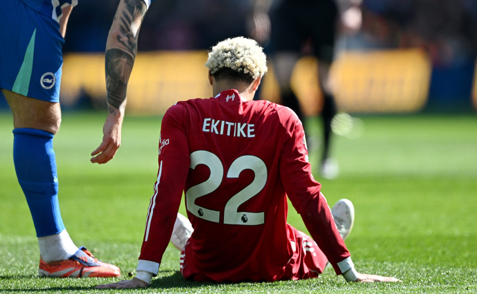Hugo Ekitike of Liverpool reacts on the floor with a injury during the Premier League match between Brighton & Hove Albion and Liverpool at Amex Stadium on March 21, 2026 in Brighton, England.