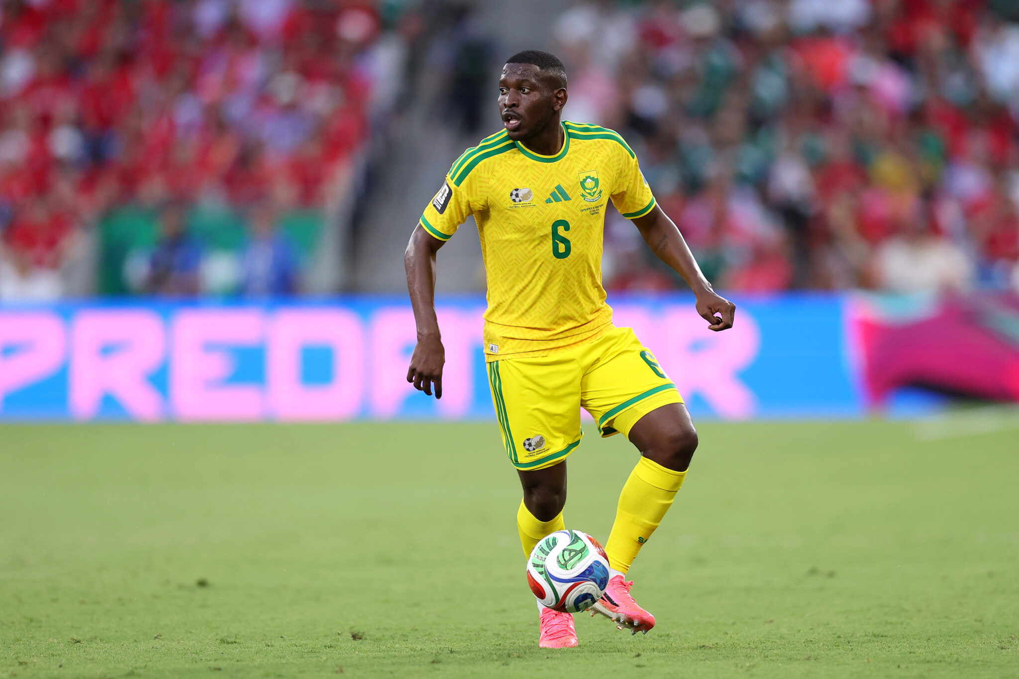 South Africa vs Canada – Predicted lineup and team news