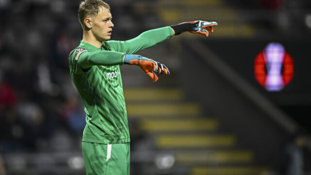 Newcastle sign goalkeeper Hornicek from Braga