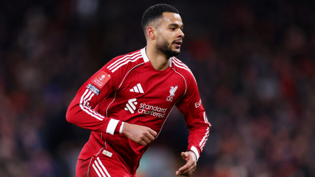 Tottenham eye Liverpool winger Cody Gakpo