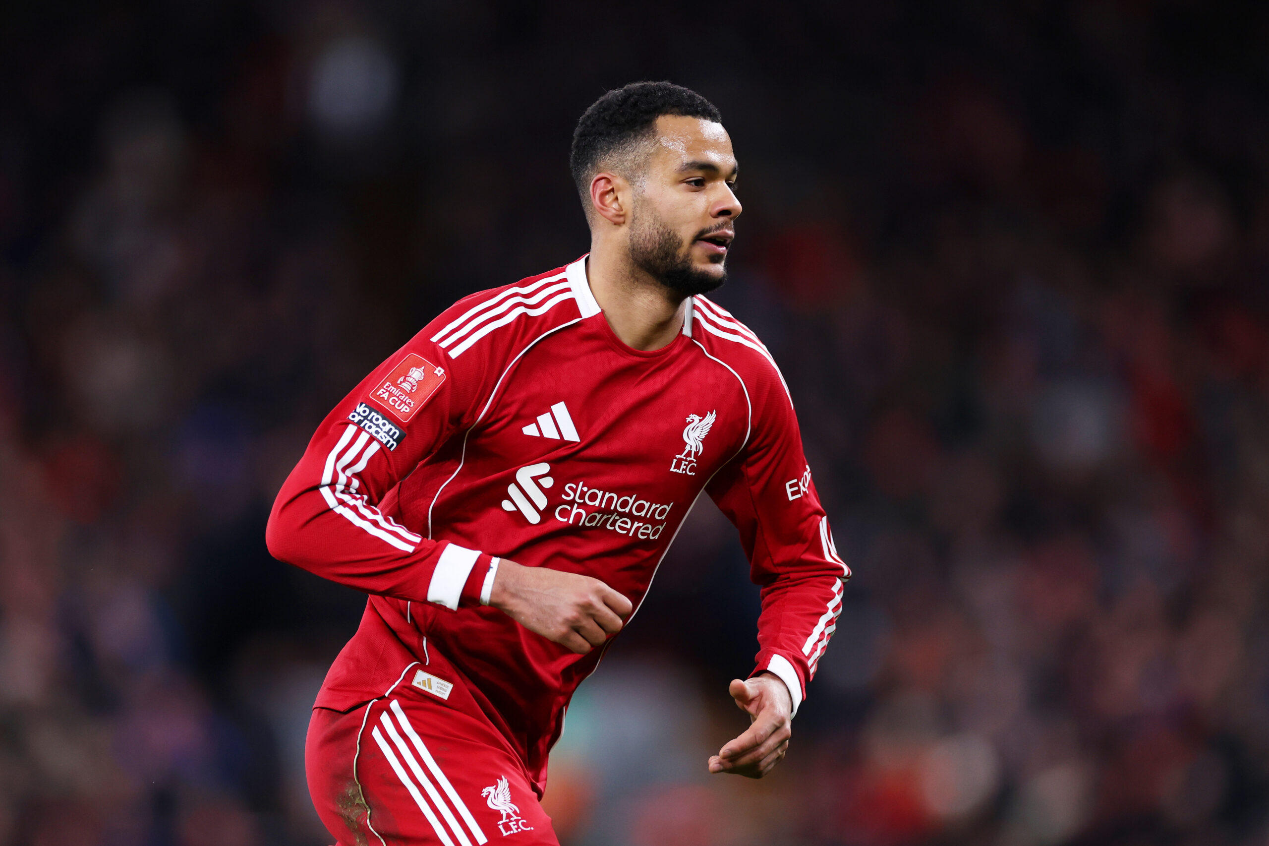 Tottenham eye Liverpool winger Cody Gakpo