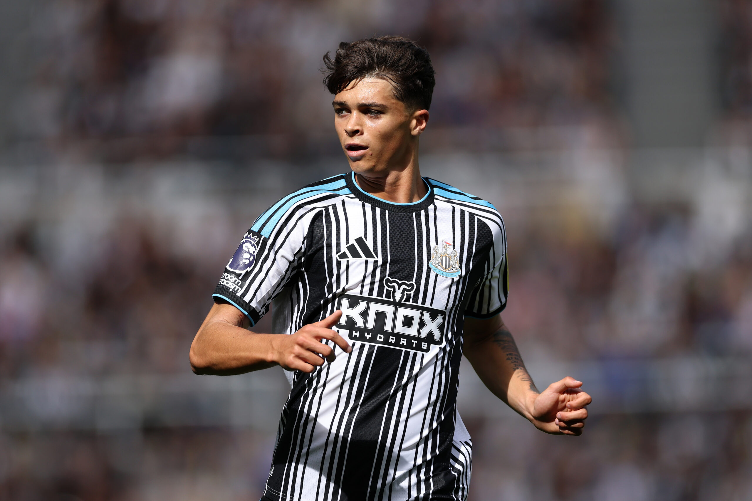 Newcastle United XI vs Millwall – Predicted lineup and team news