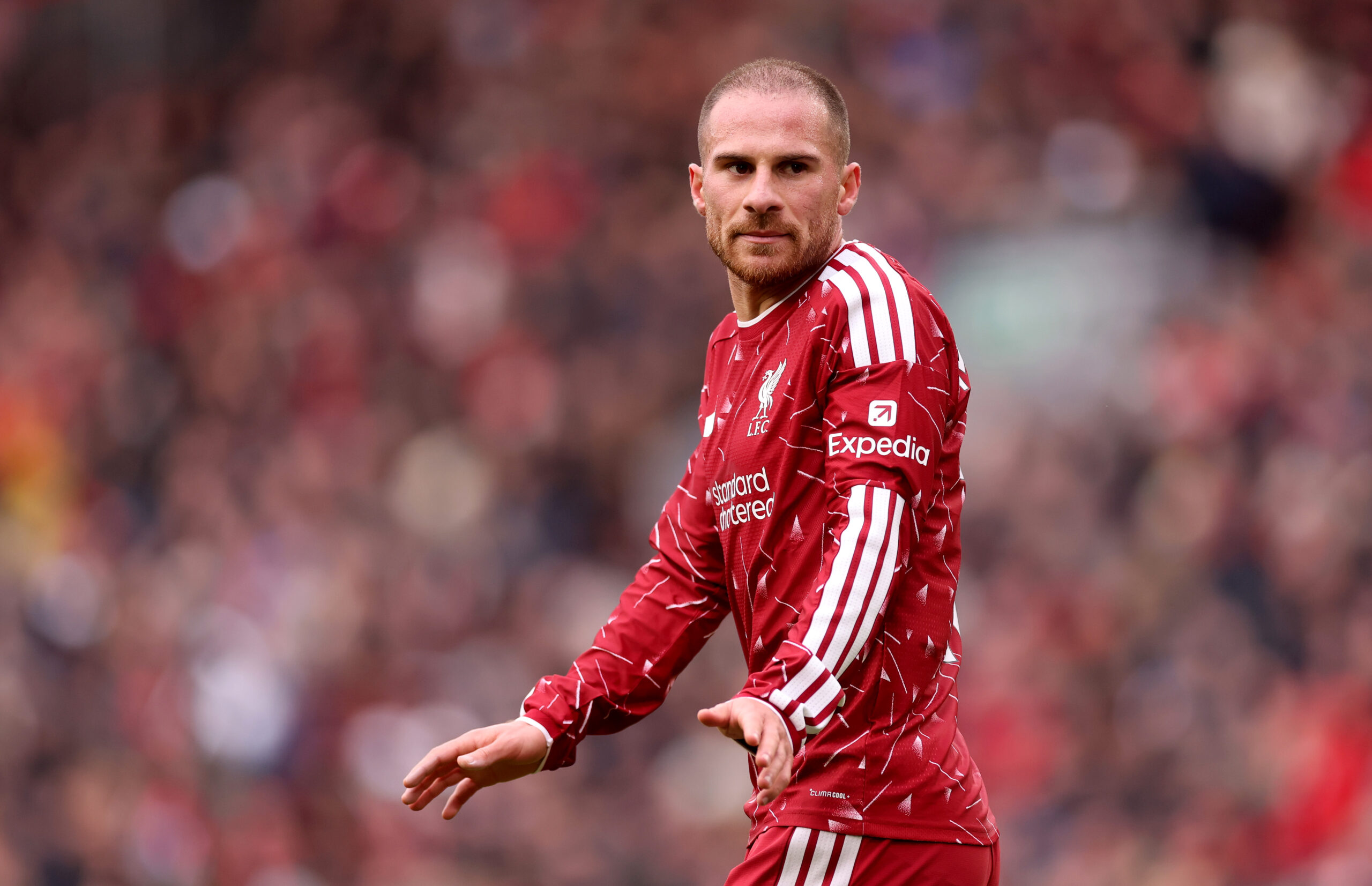 Real Madrid monitor Mac Allister amid Liverpool contract stance