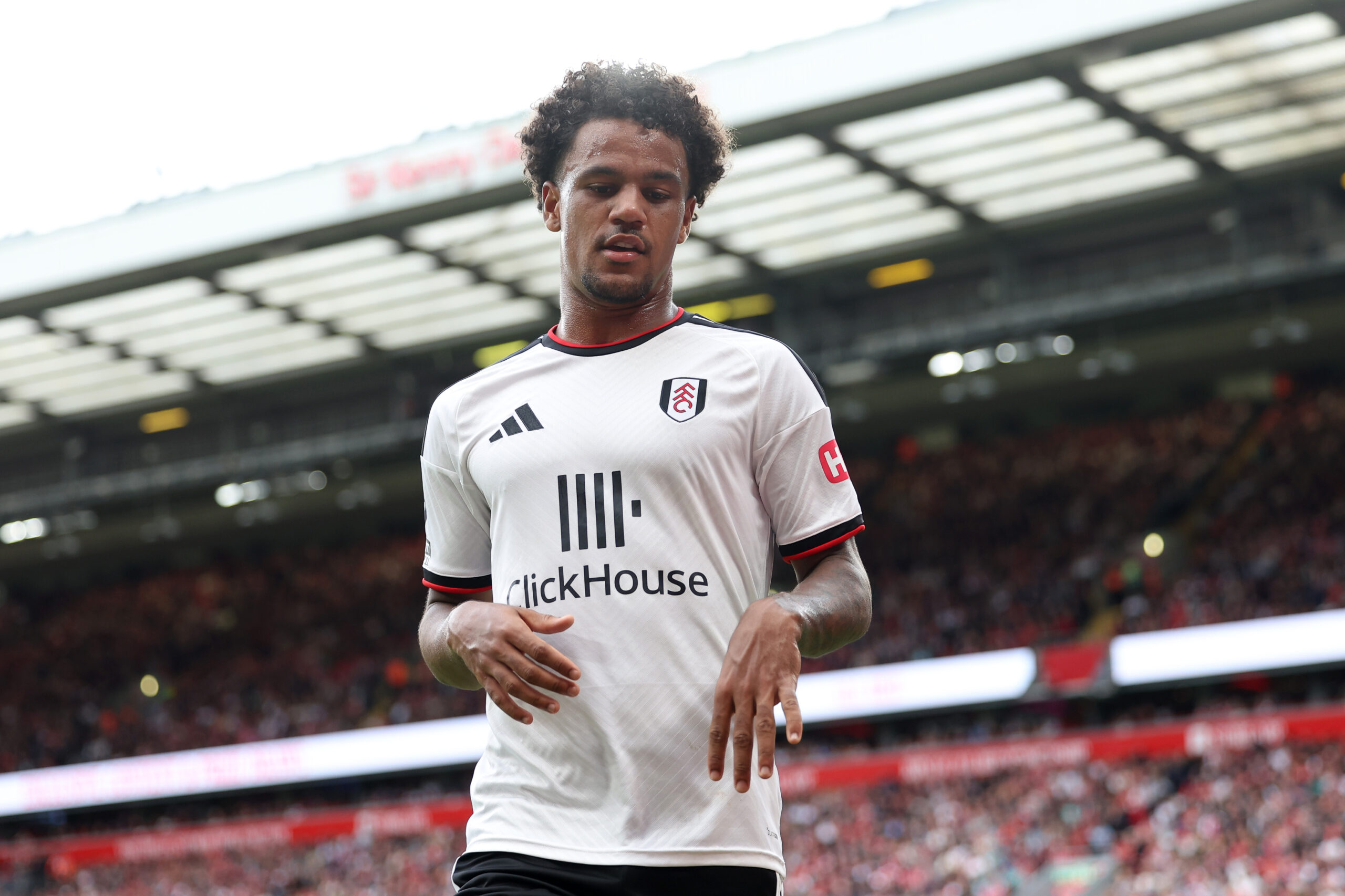 Fulham vs Hull City – Predicted lineup and team news